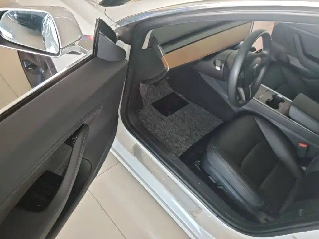 Tesla Model 3 (Import) 2019 2019 Long Range All-Wheel Drive Edition