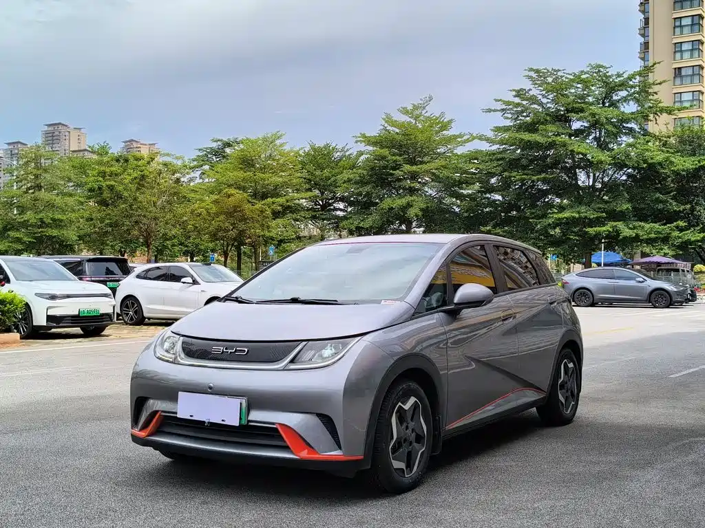 BYD Dolphin 2021