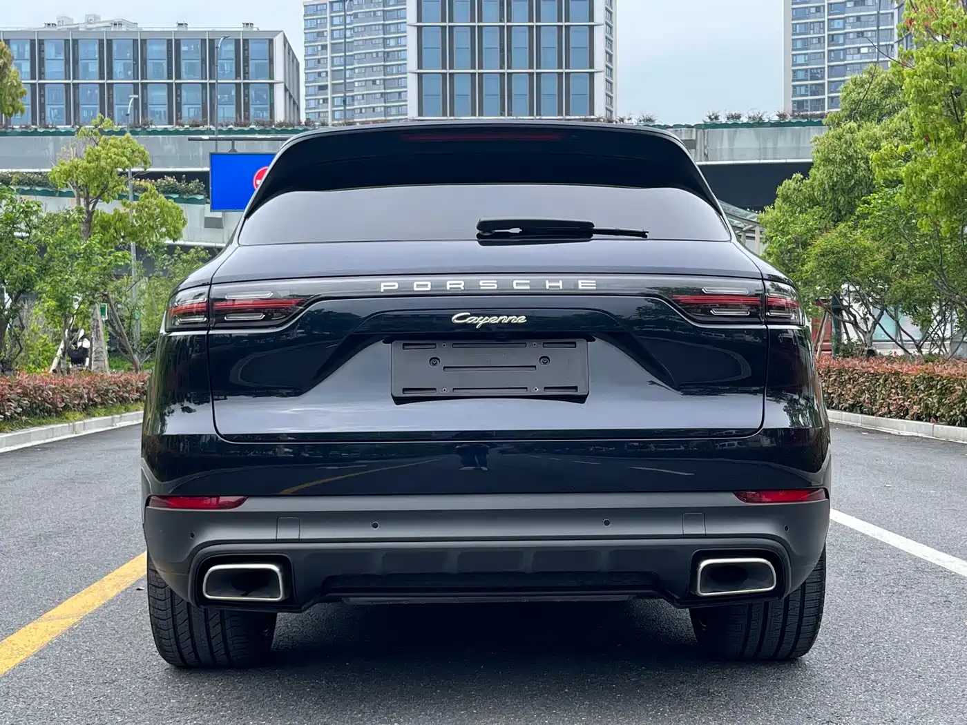 PORSCHE CAYENNE NEW ENERGY