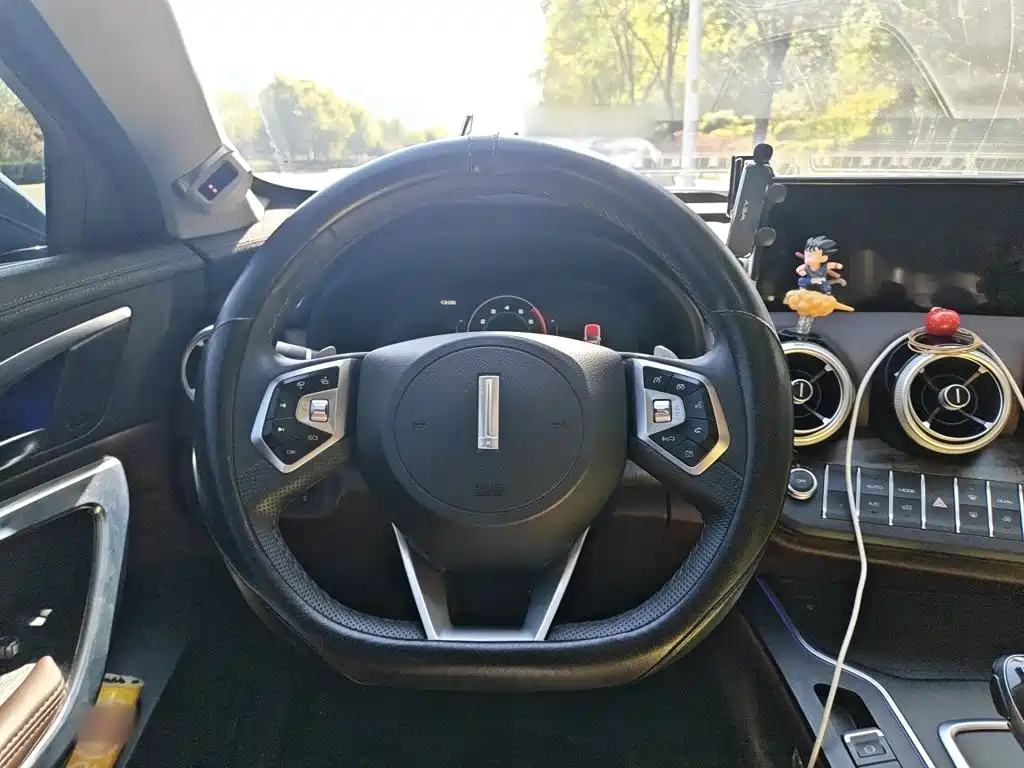 WEY VV7 2020 2020 Model 2.0T Flagship