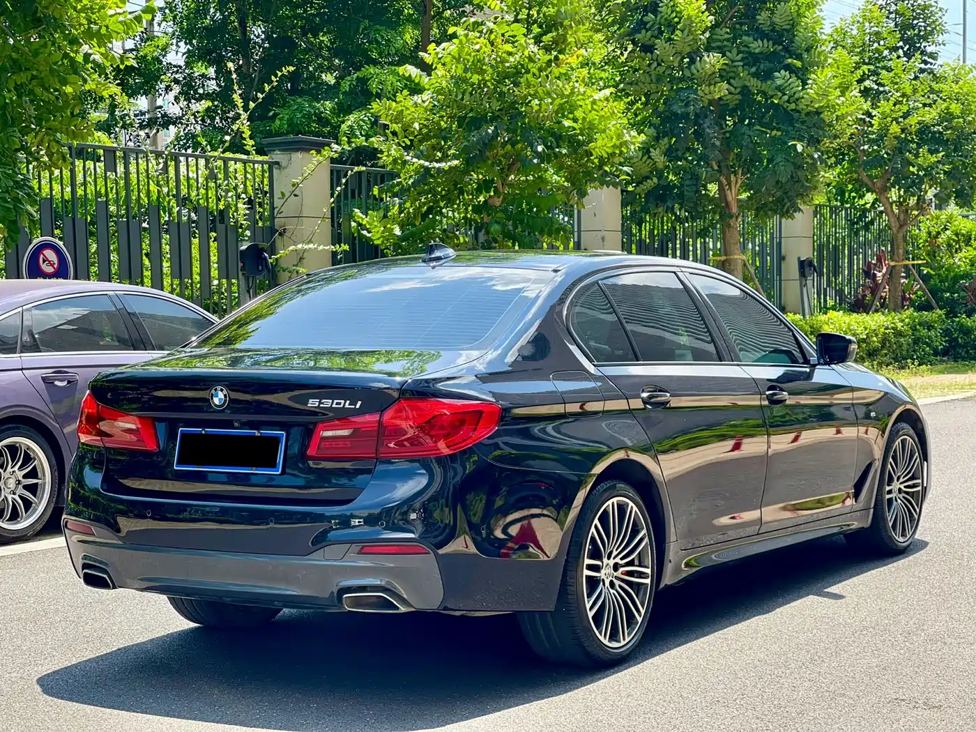 BMW 5 Series 2019 530Li Leading M Sport Package фото 9