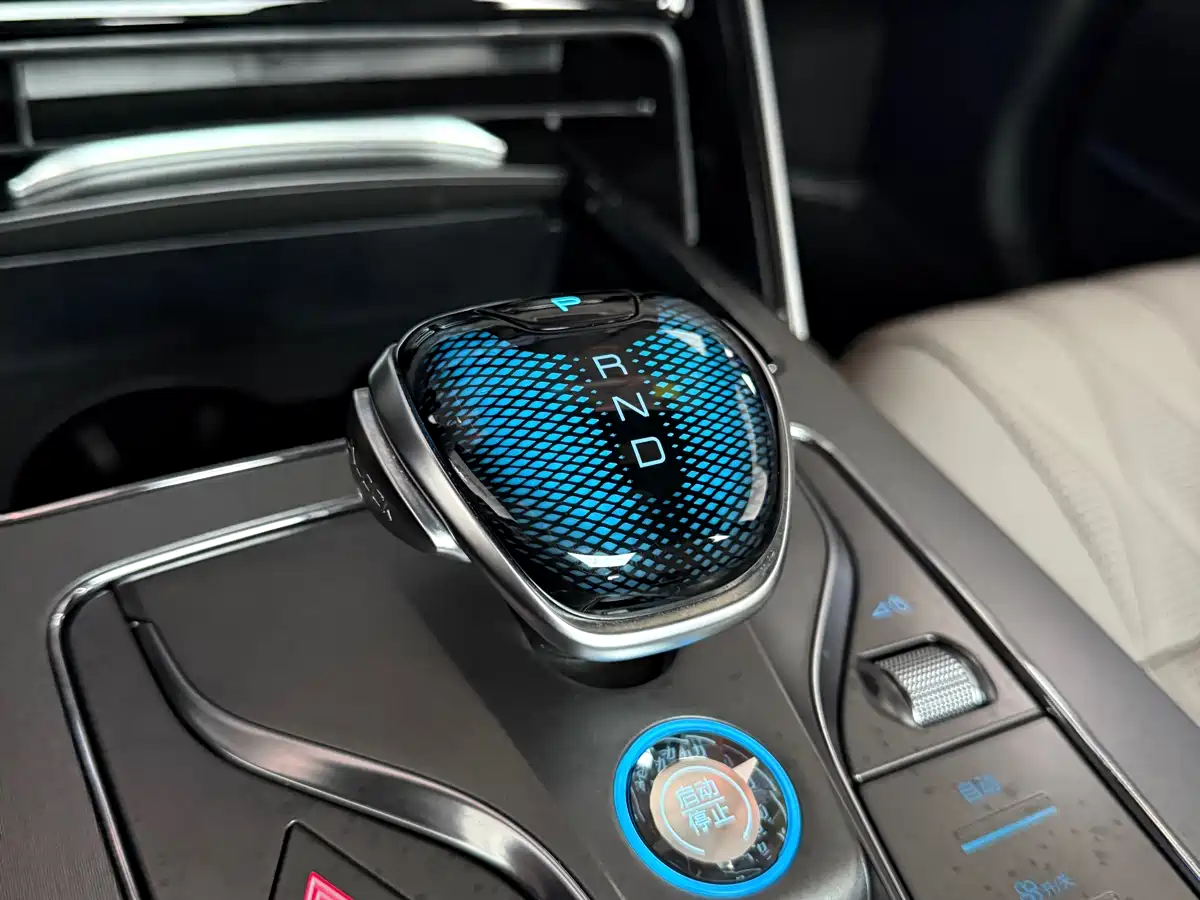 BYD Tang New Energy 2025 DM-i 115KM Premium фото 10