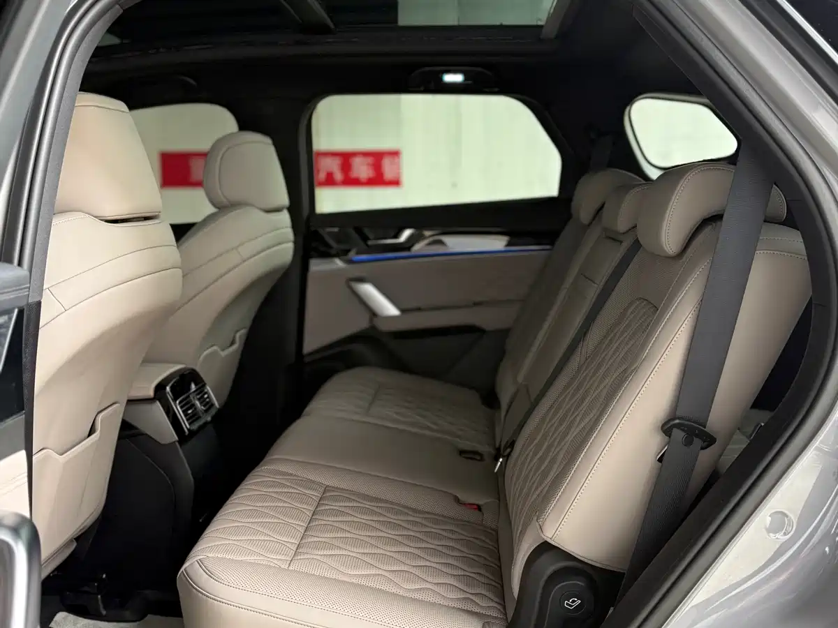 BYD Tang New Energy 2025 DM-i 115KM Premium фото 22