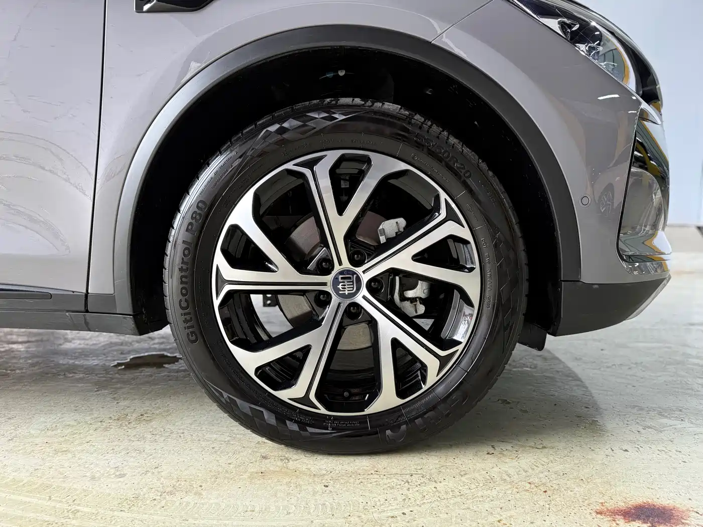 BYD Tang New Energy 2025 DM-i 115KM Premium фото 29
