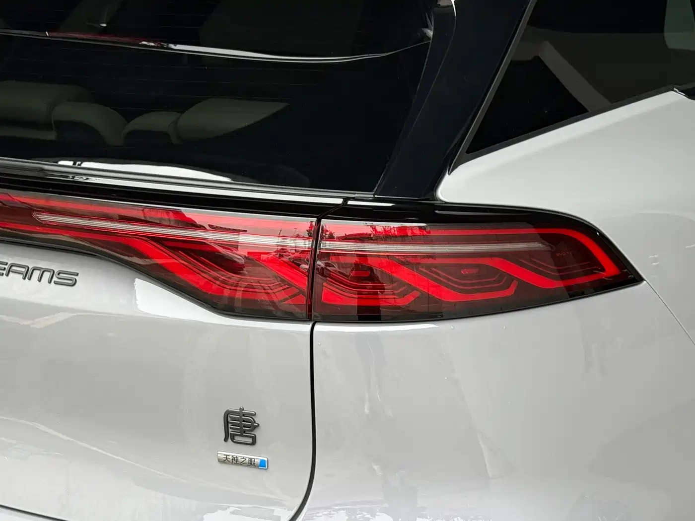 BYD Tang New Energy 2025 DM-i 115KM Premium фото 32