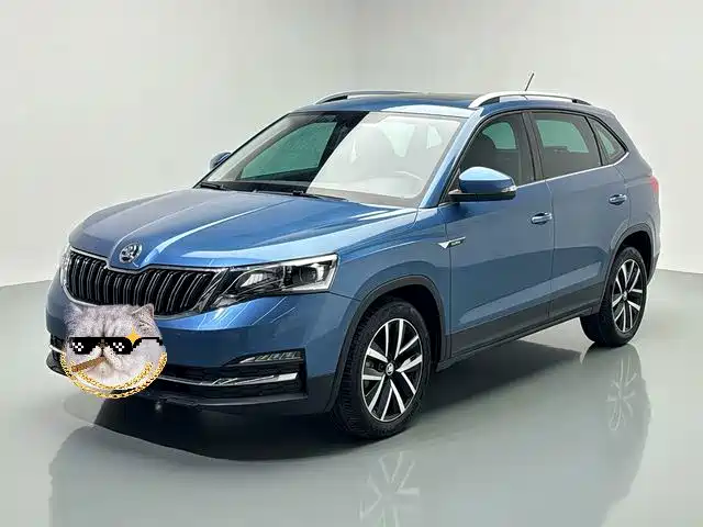  Škoda Kamiq 2018 1.5L Automatic Comfort Version China VI