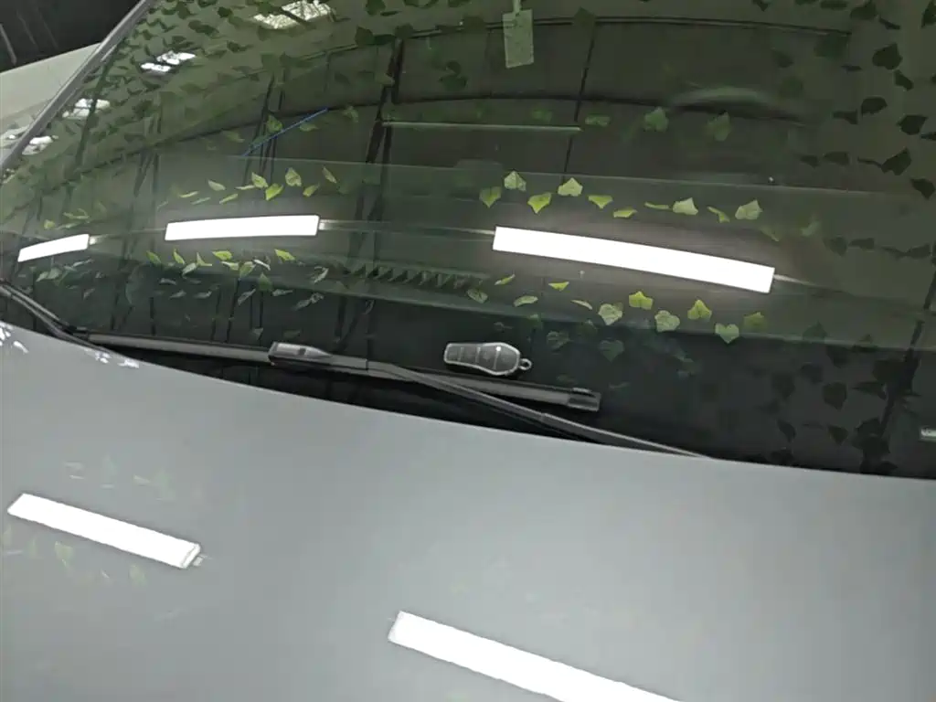 BYD Song L DM-i 2025 Smart Drive Edition 112km Surpassing фото 9