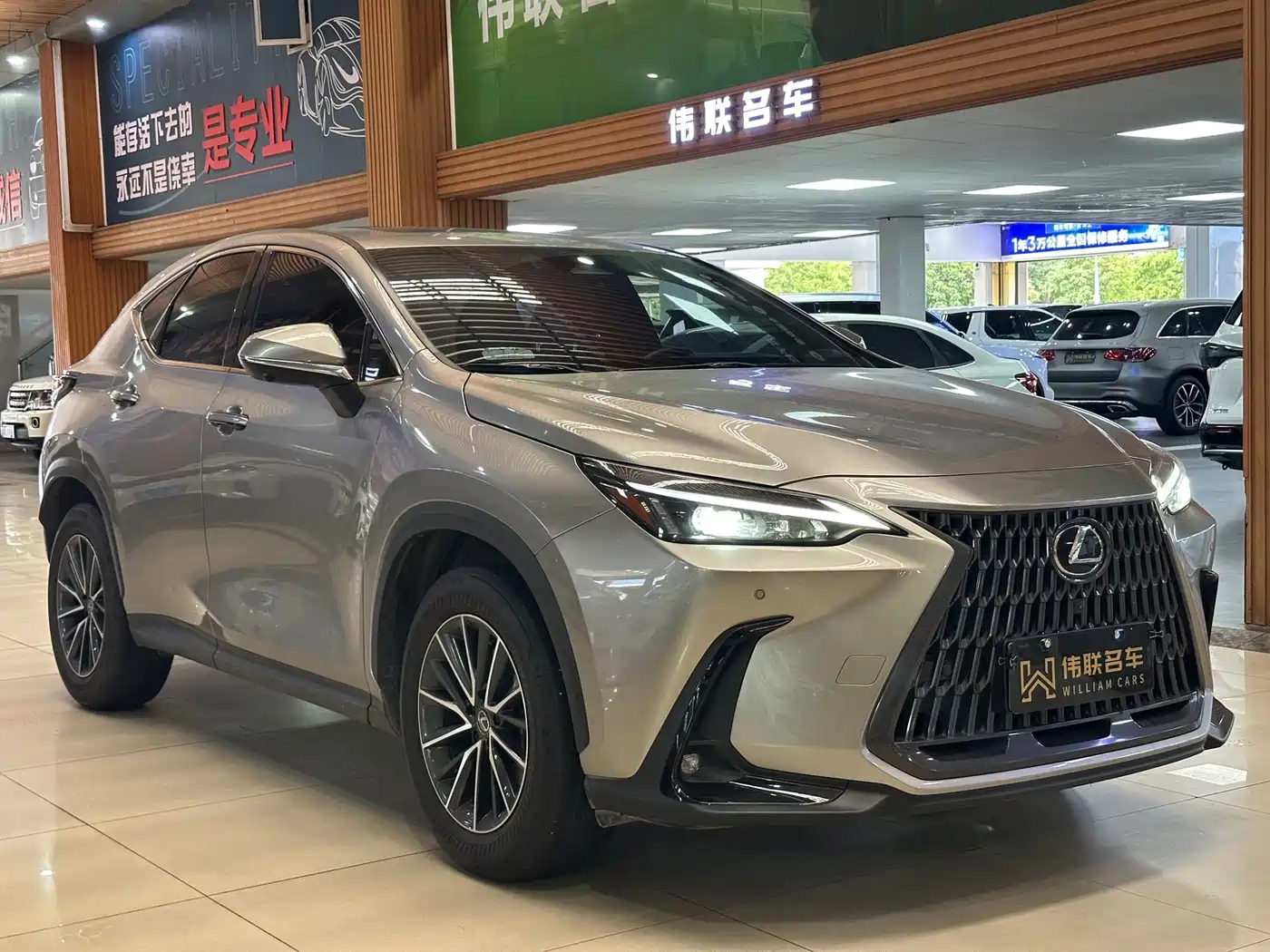 2024 Lexus NX