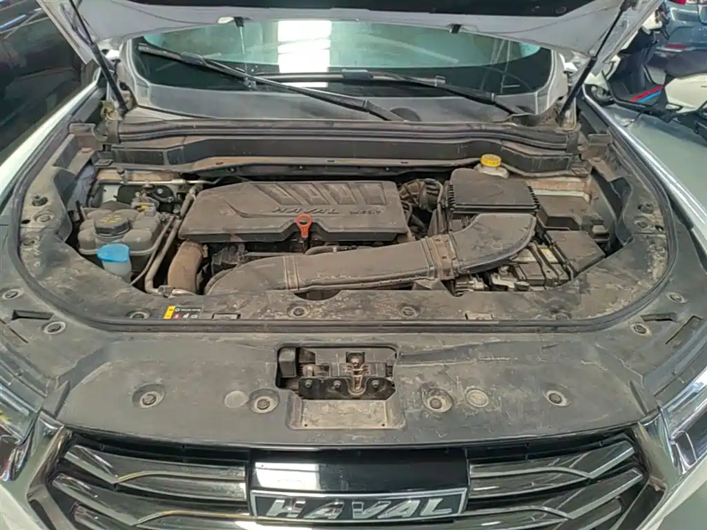 Haval H6 2021 National Trend Edition 1.5GDIT Automatic Champion Edition фото 20