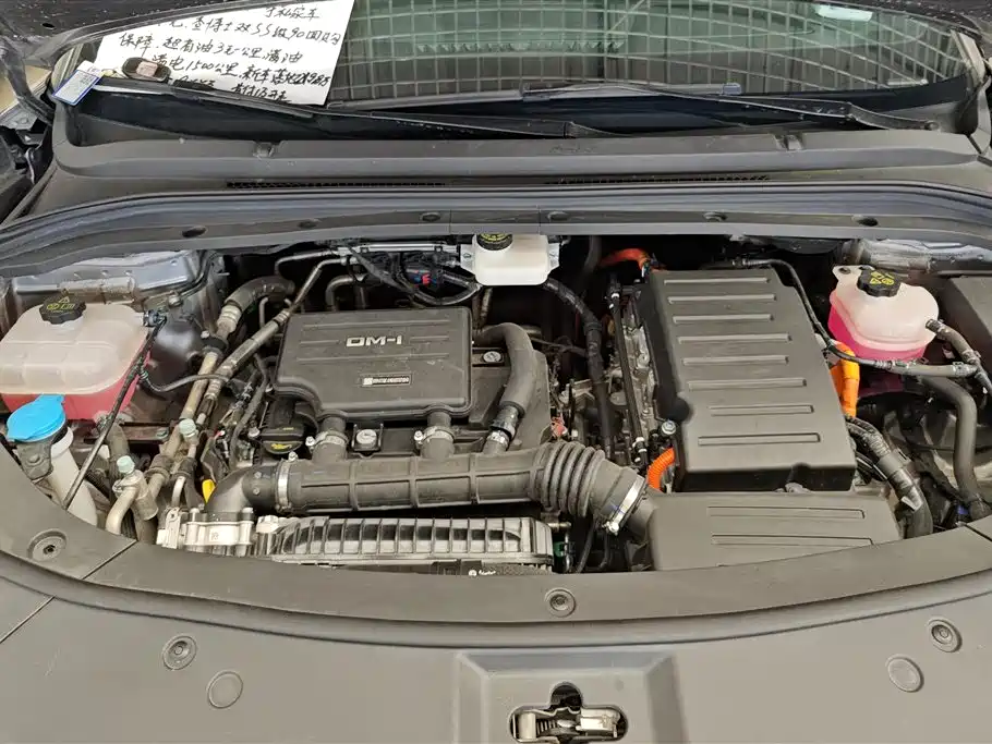 BYD Song L DM-i 2024 112km Leading Edition фото 10