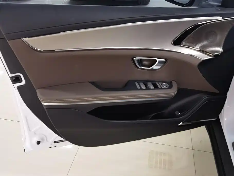 BYD Han 2021 EV Standard Range Luxury фото 7