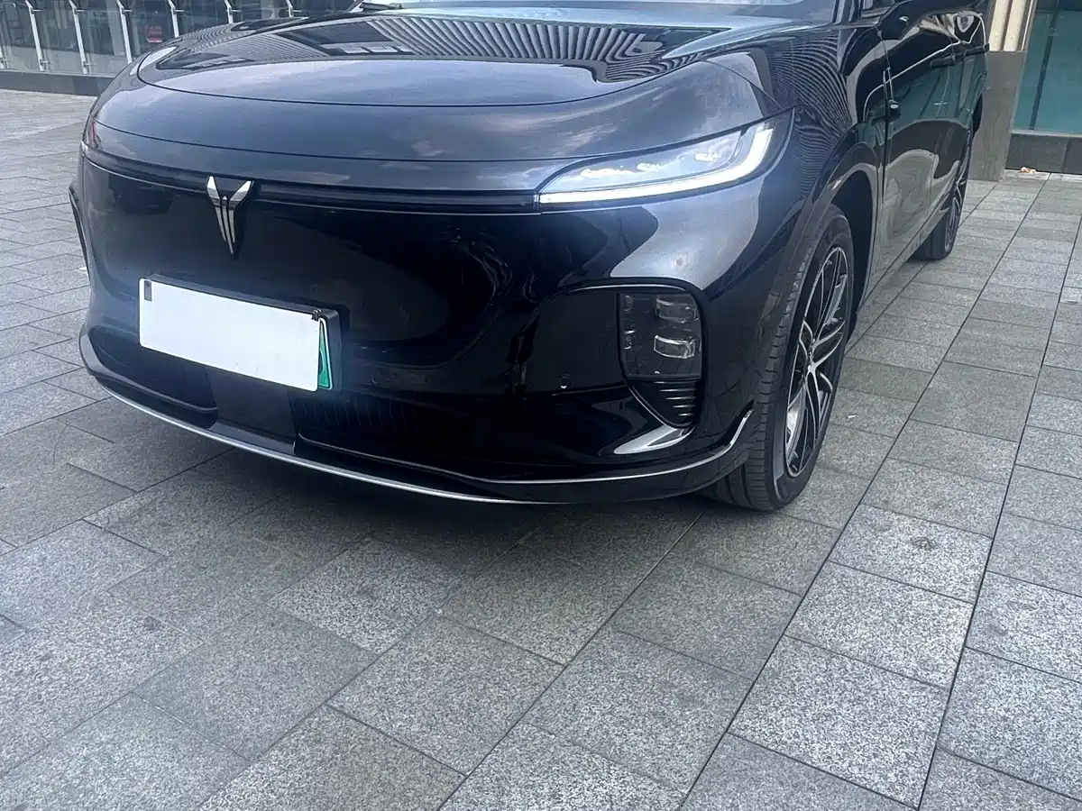 Voyah Auto Voyah Zhiyin 2025 Base