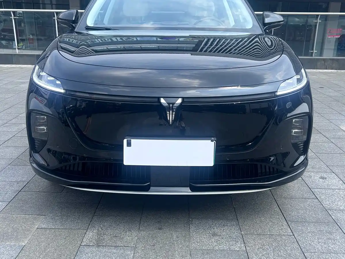 Voyah Auto Voyah Zhiyin 2025 Base фото 3