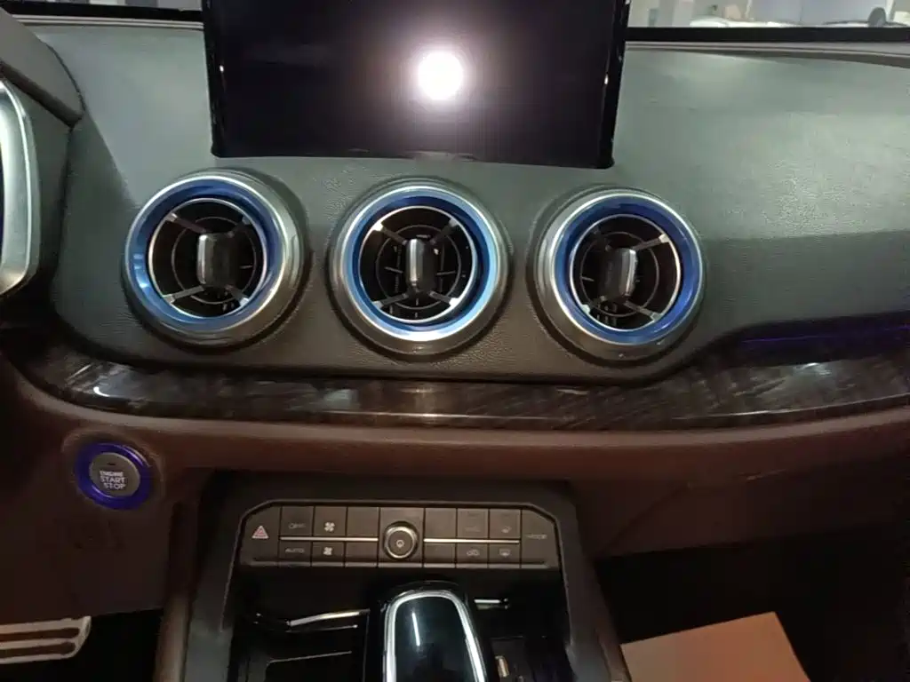 WEY VV5 2017 2017 2.0T Flagship Model