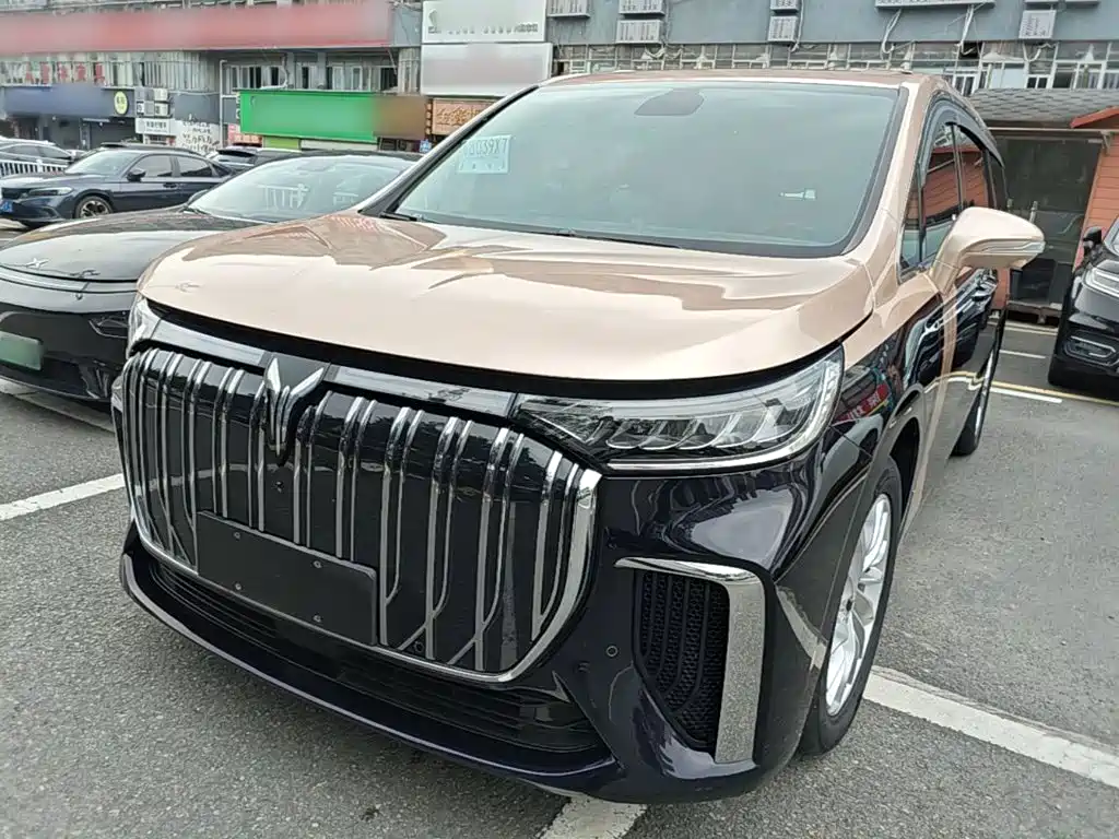 Voyah Auto Voyah Dreamer 2025 2022 Zero Carbon Edition Home 475km