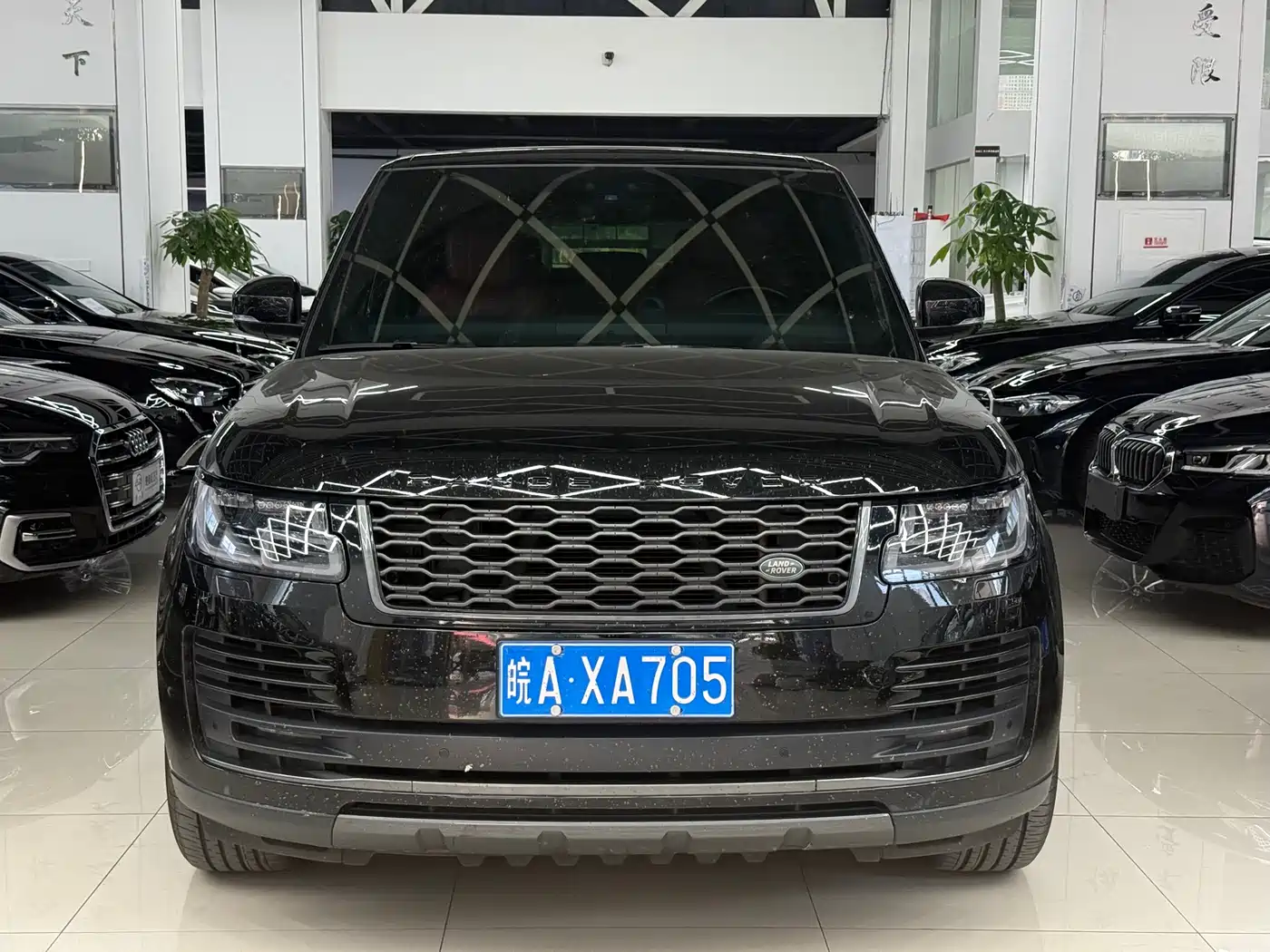 Land Rover Range Rover 2018 3.0 SC V6 Golden Age Edition фото 2