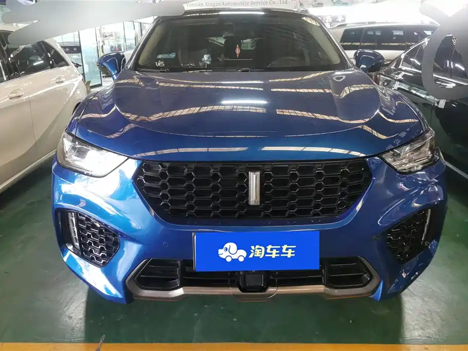 WEI PAI WEI BRAND VV5