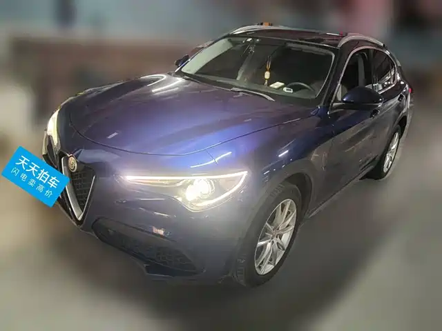 Alfa Romeo Stelvio 2017 2.0T 200HP Elite — фото 1