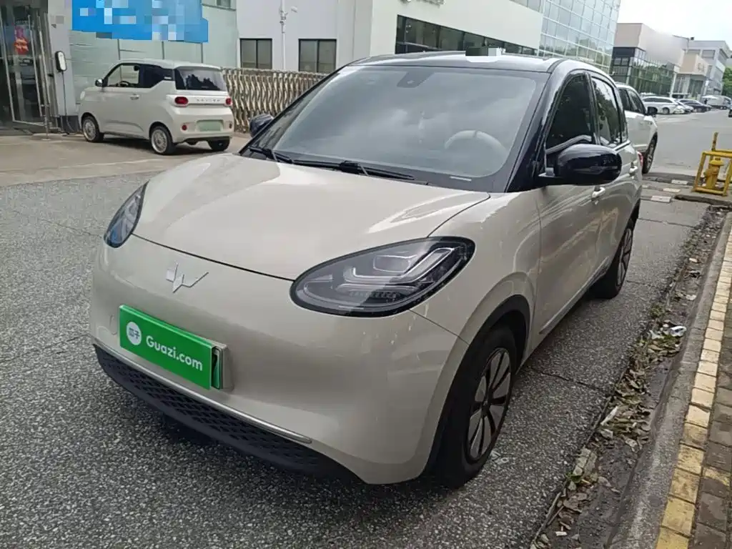 Wuling Motors Wuling Bingo 2023 2023 203km Comfort Version