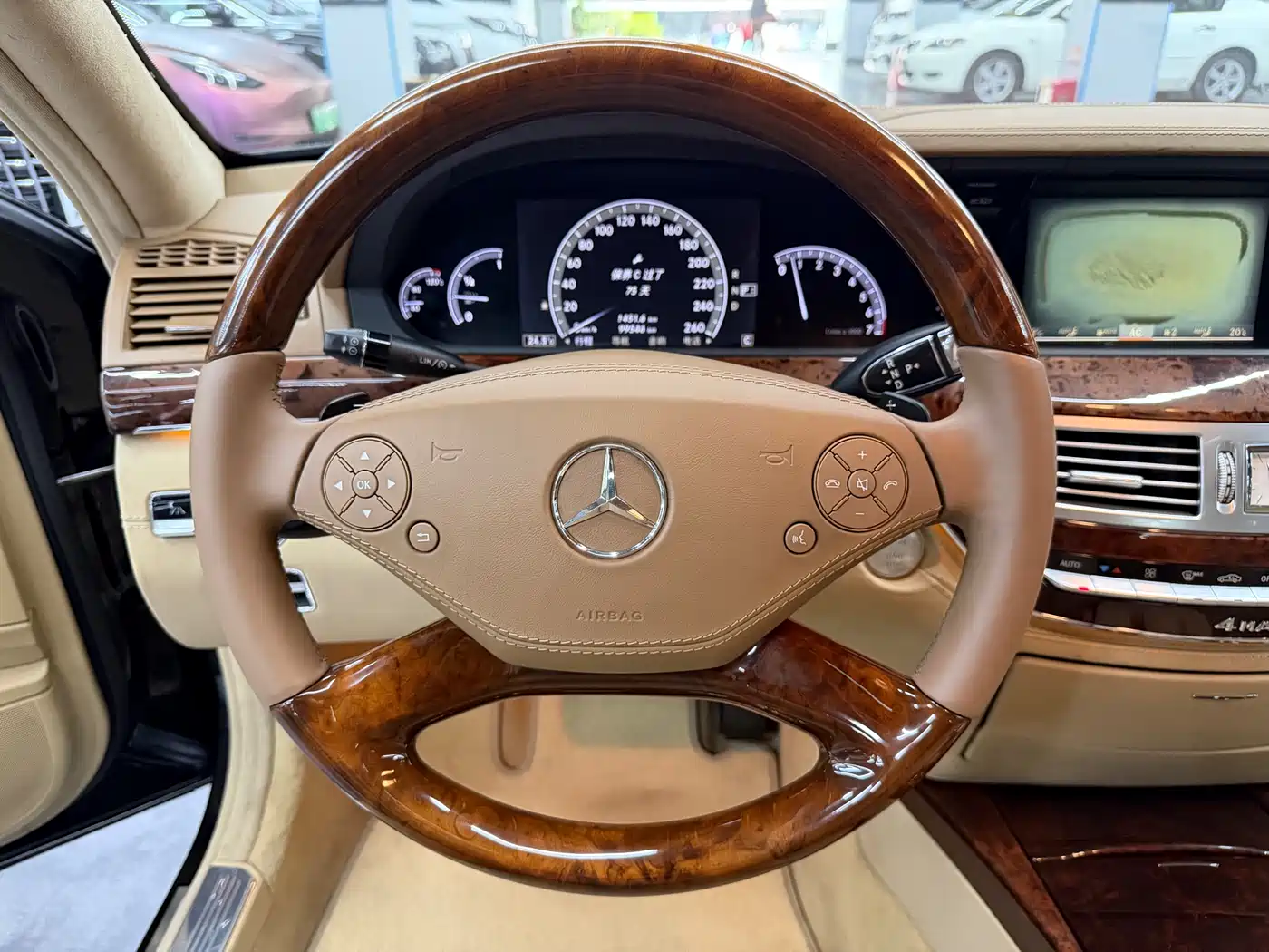 Mercedes-Benz S-Class 2010 S 500 L 4MATIC фото 8