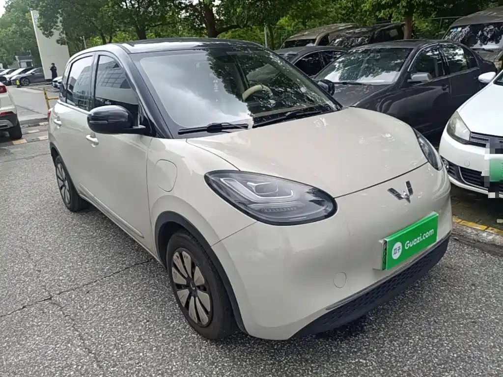 Wuling Motors Wuling Bingo 2023 2023 203km Comfort Version