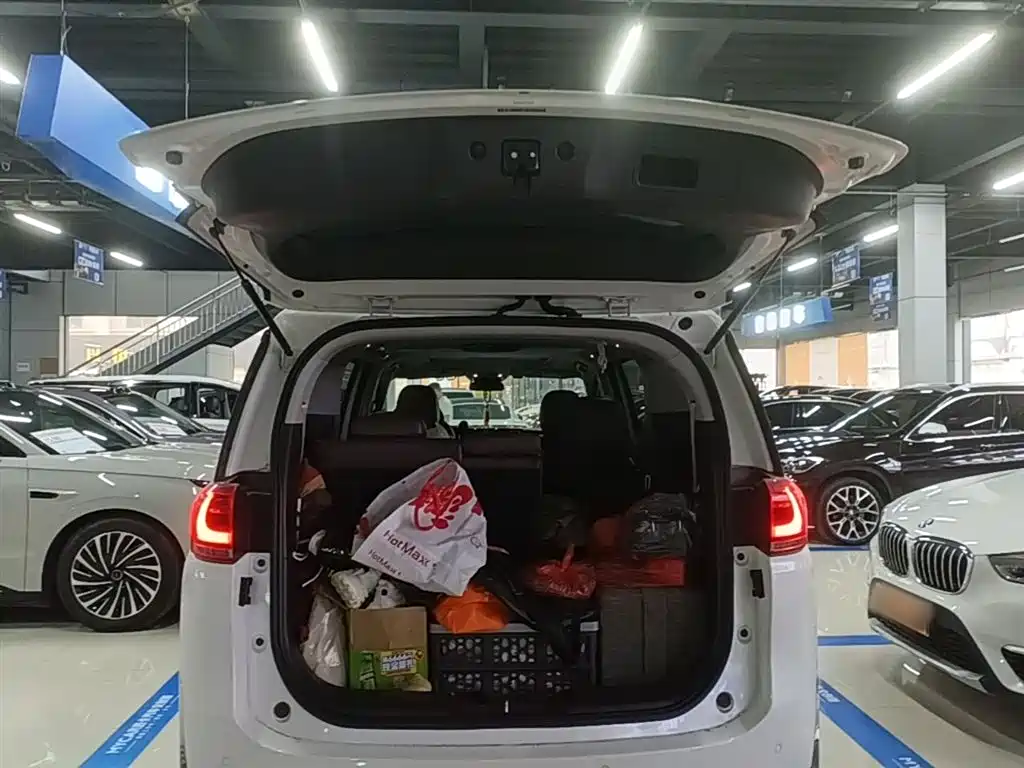 GAC Trumpchi Trumpchi M8 2021 Leading Show Series 390T Luxury Edition фото 19