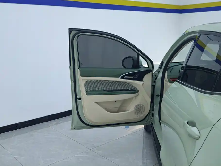 Ora Good Cat 2023 2023 401km Standard Range Comfort LFP