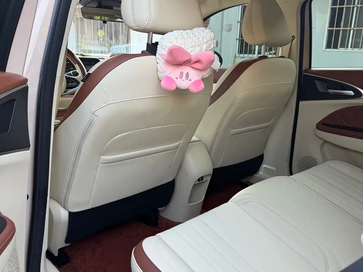 Ora Good Cat 2023 2023 401km Standard Range Luxury LFP