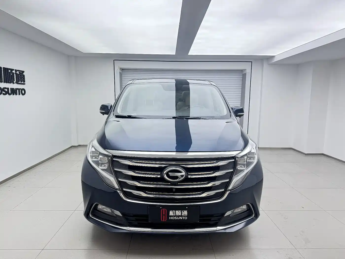 GAC Trumpchi Trumpchi M8 2018 320T Premium Edition фото 2