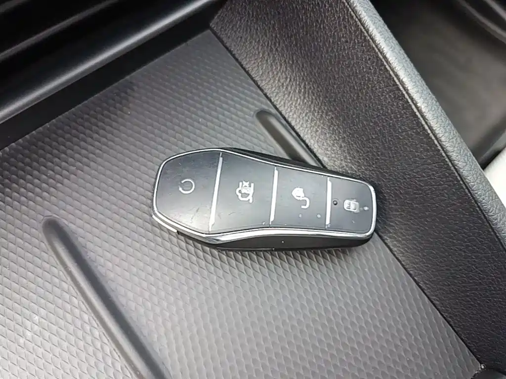 BYD Hai Bao 05 DM-i 2025 DM-i Smart Drive Edition 55KM Luxury фото 9