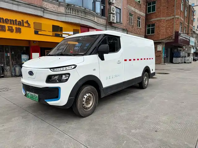  Karry Dolphin EV 2021 Basic Smart Edition