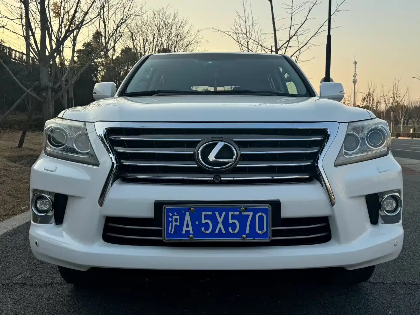 Lexus LX 2013 570 фото 3