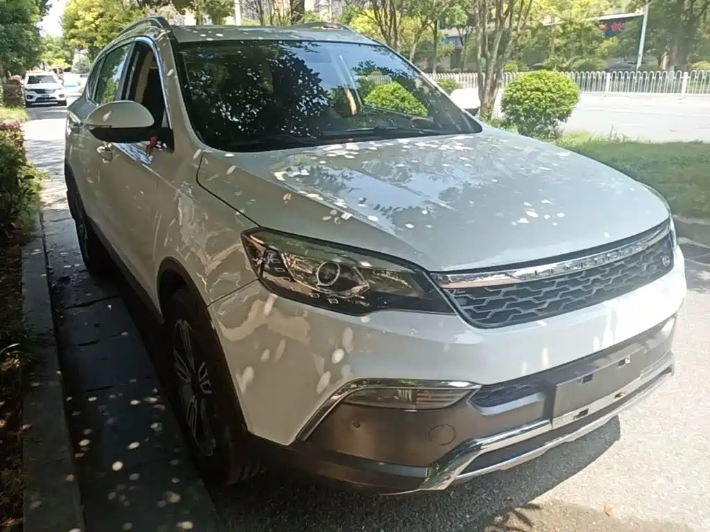 2019 Leopaard CS10