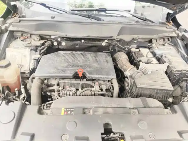 Haval Big Dog 2021 1.5T DCT 2WD Border Collie Edition — фото 3