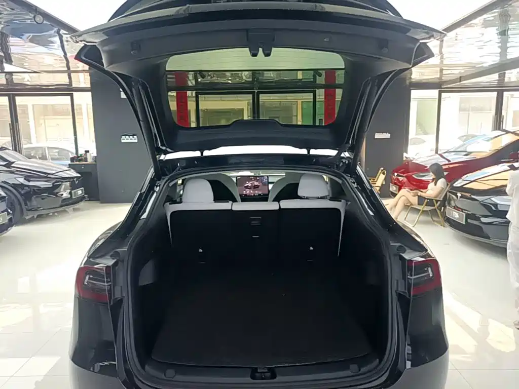 Tesla Model Y 2021 2021 Performance High-Performance AWD