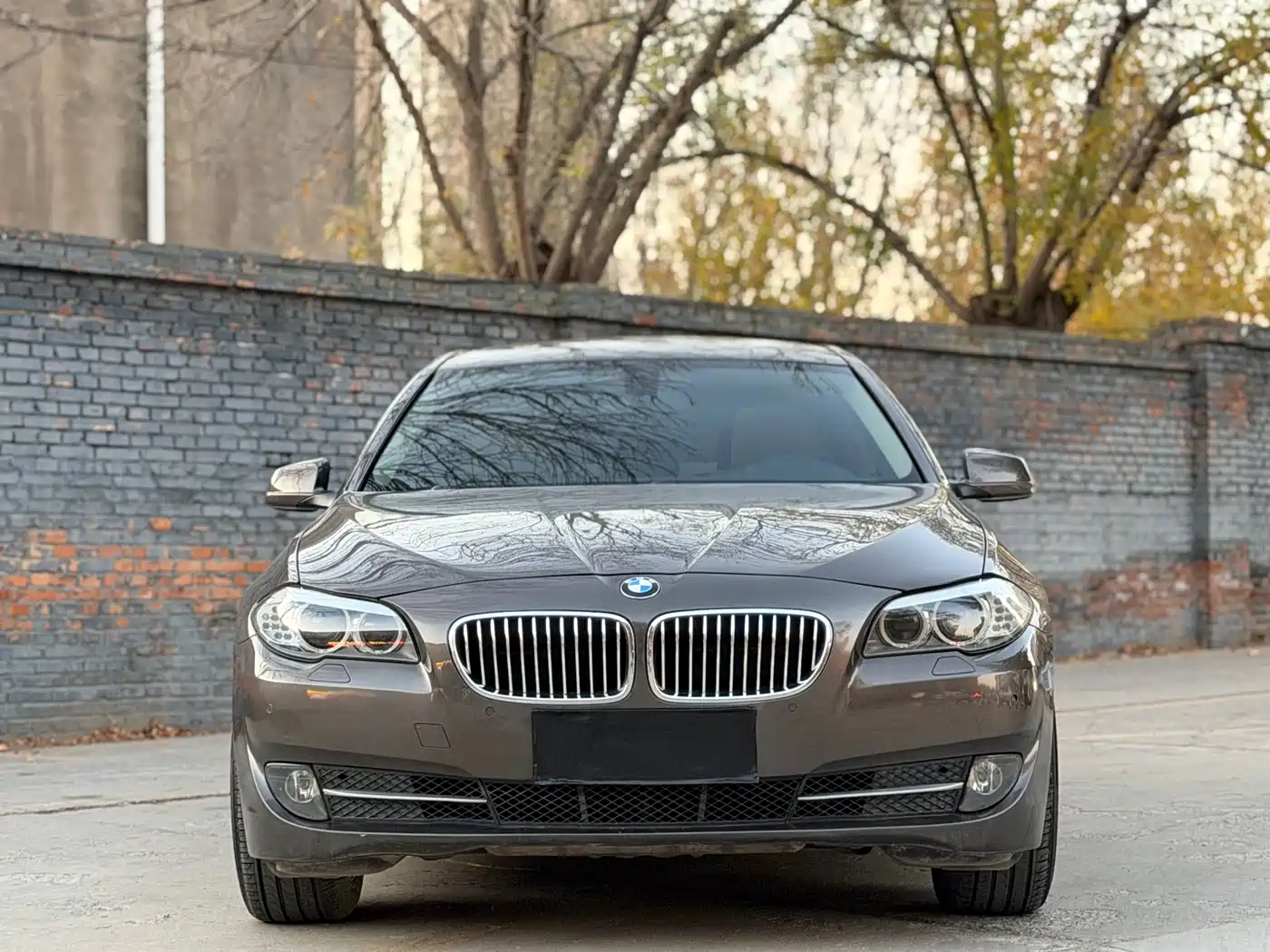 BMW 5 Series 2013 520Li Elegance фото 2