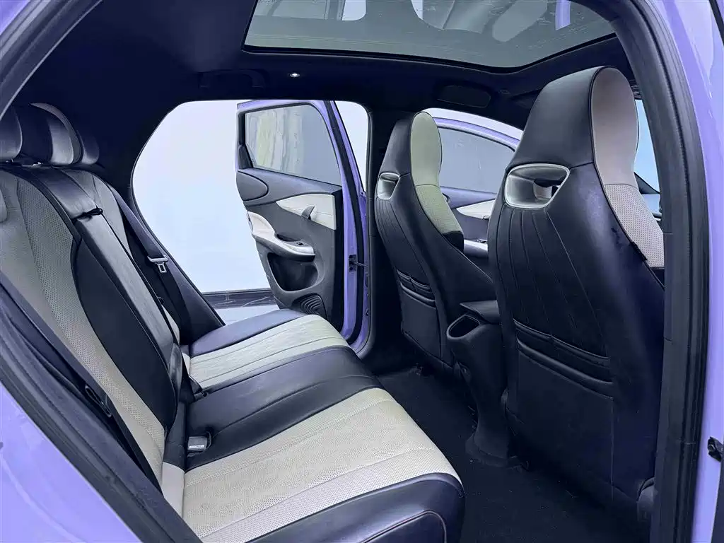 BYD Dolphin 2023 420km Fashion Edition фото 9
