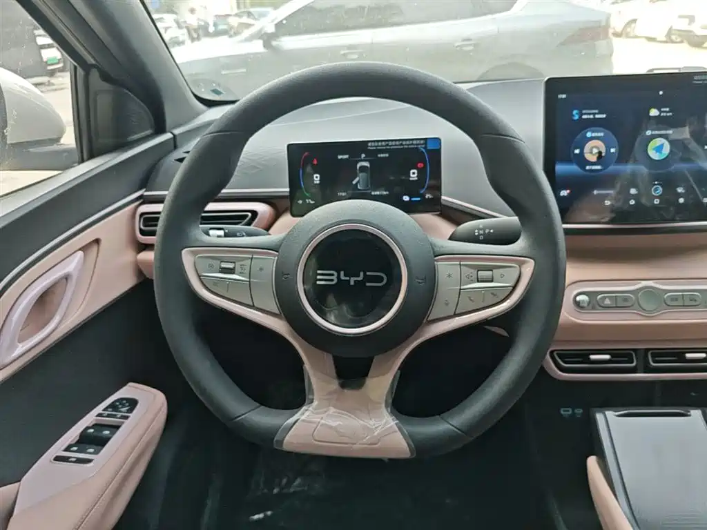 BYD Seagull 2025 Smart Drive Edition 305km Vitality Version фото 11