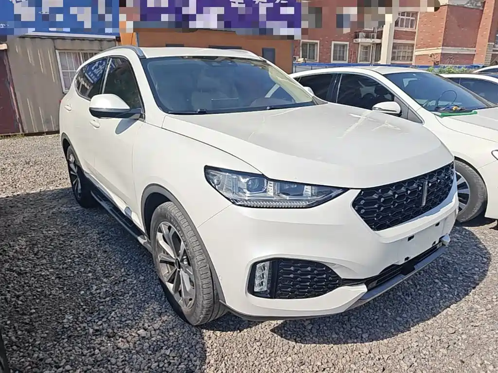 Фото 4 - WEY VV6