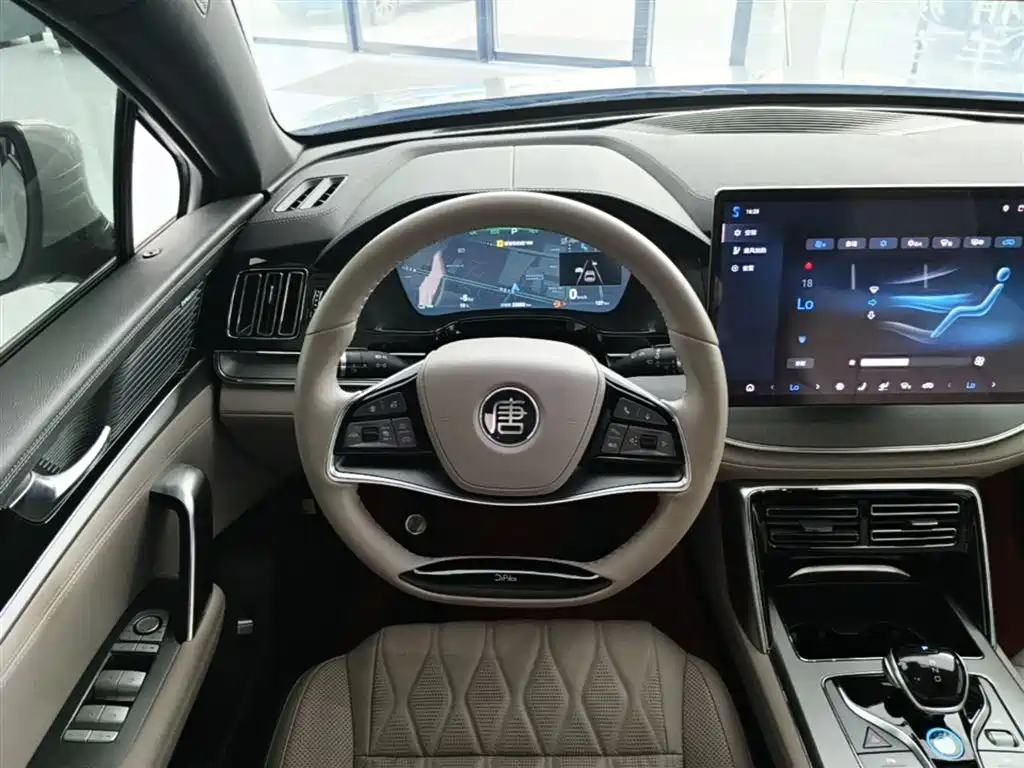 BYD Tang New Energy 2024 DM-i Honor Edition 112KM Premium фото 10