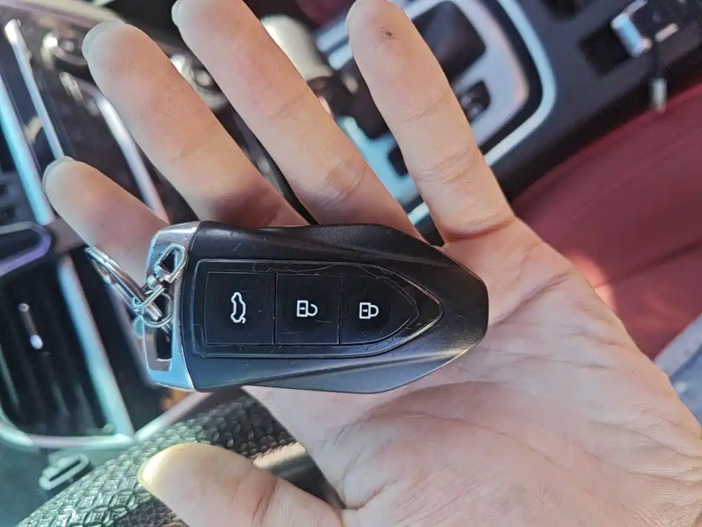 Leopaard CS10 2017 2017 Model 2.0T Automatic Urban Edition