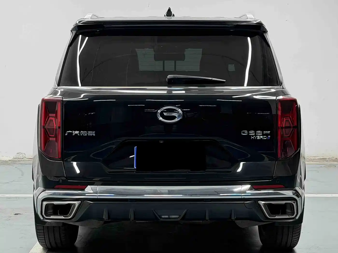 GAC Trumpchi Trumpchi GS8 2022 Dual Engine Series 2.0TM 2WD Premium Edition (7-Seater) фото 8