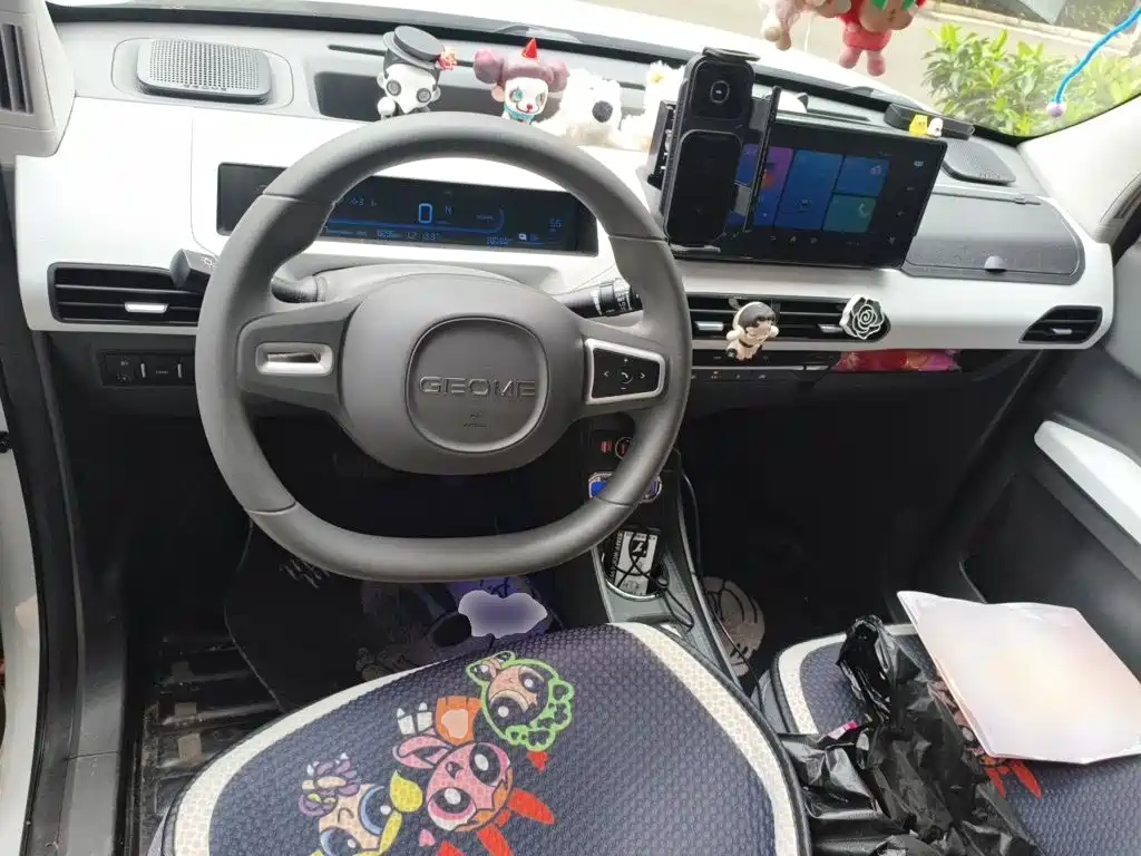 Фото 5 - Geely Galaxy Panda