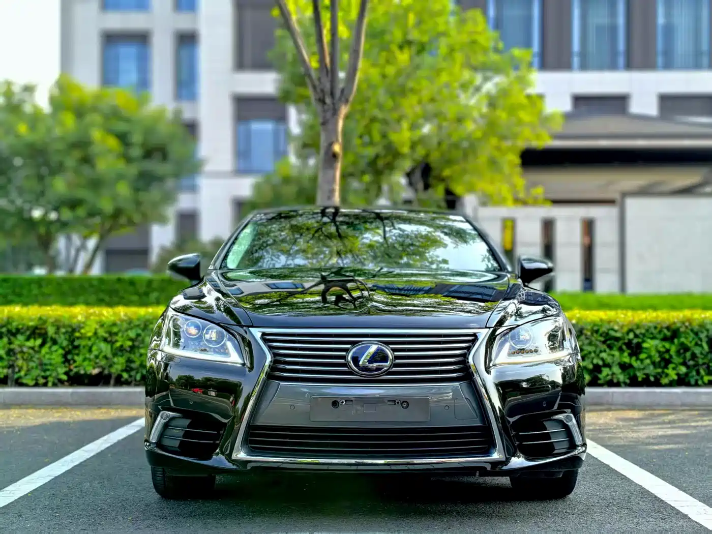 Lexus LS 2013 460L 4WD Premium Edition фото 2