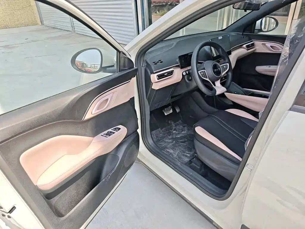 BYD Seagull 2026 2025 Smart Drive Edition 305km Vitality Version