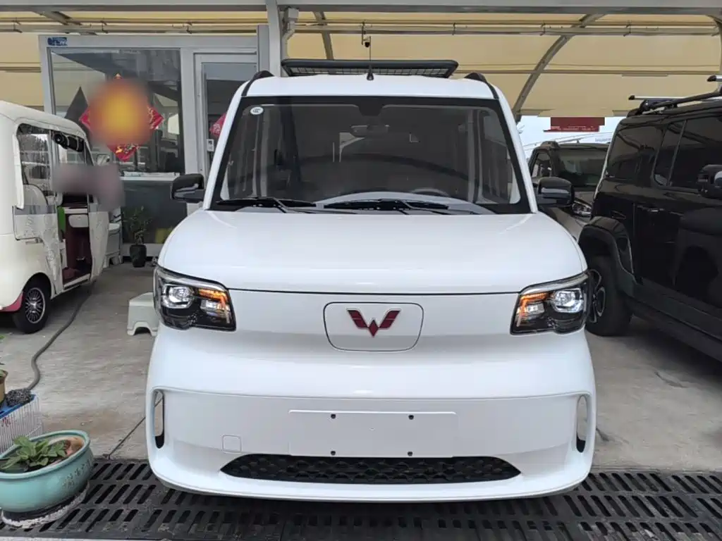 Wuling Motors Wuling Zhiguang NEV 2026 2025 Model 305km Base Version