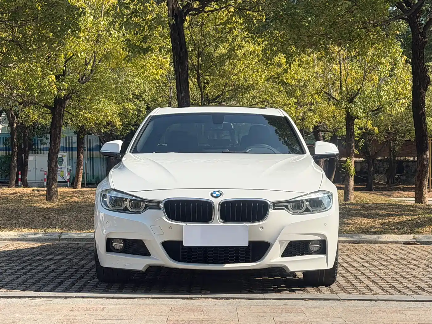BMW 3 Series 2017 320i M Sport фото 2