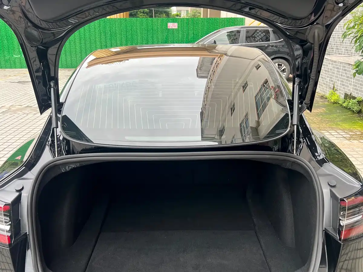 Tesla Model 3 2020 2020 Standard Range Rear-Wheel Drive Upgrade