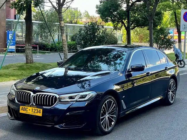 BMW 5 SERIES