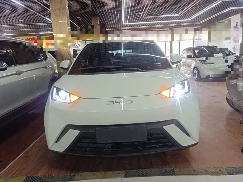 BYD Seagull 2023 2023 Vitality Edition